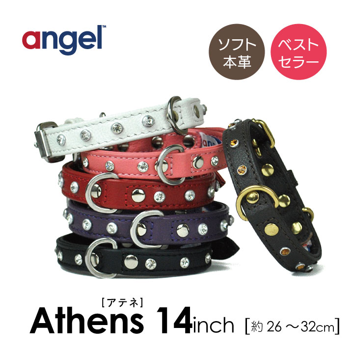 楽天市場 Angel アウトレット エンジェル Athens アテネ 12インチ 犬 首輪 本革 柔らかい ソフトレザー 小型 子犬 大型 中型 高級 おしゃれ かわいい イミテーションダイヤ Baby West