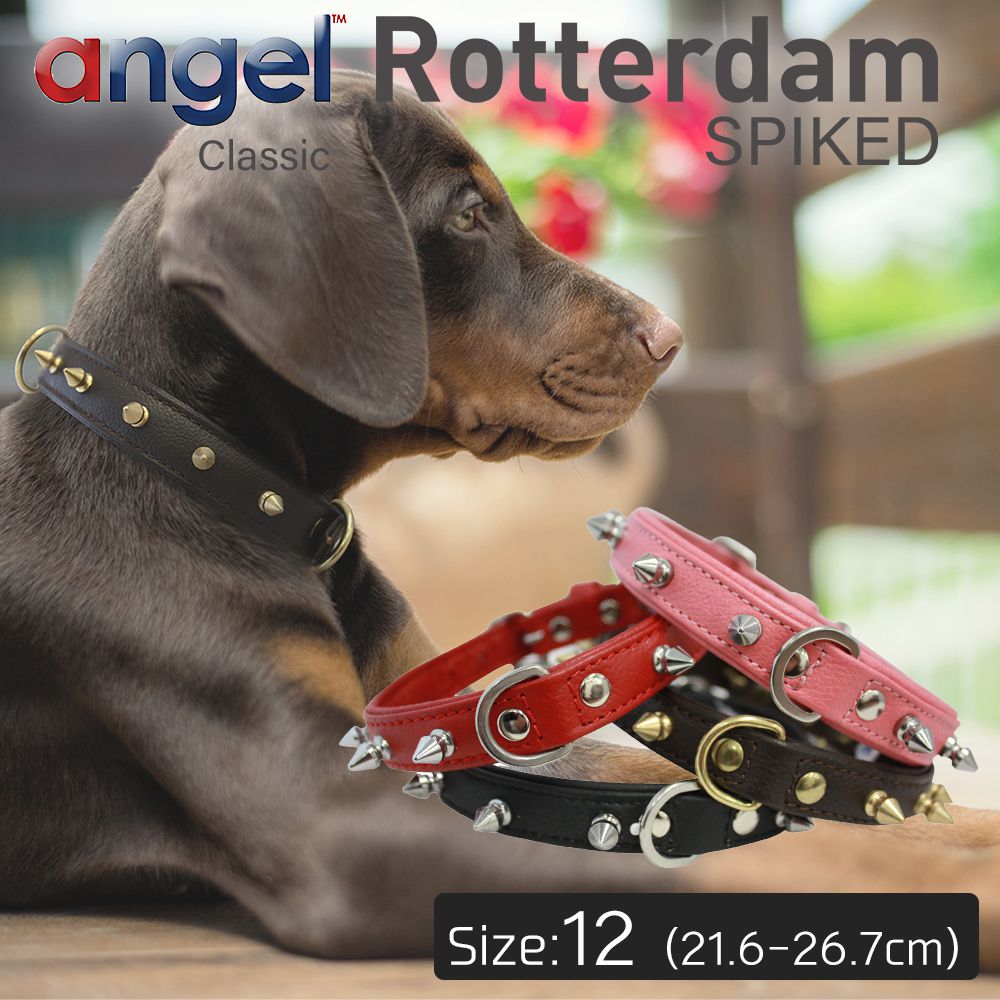 楽天市場 Angel アウトレット エンジェル Rotterdam Spiked 12インチ 犬 首輪 本革 柔らかい ソフトレザー 大型 中型 高級 おしゃれ かっこいい スパイク Baby West