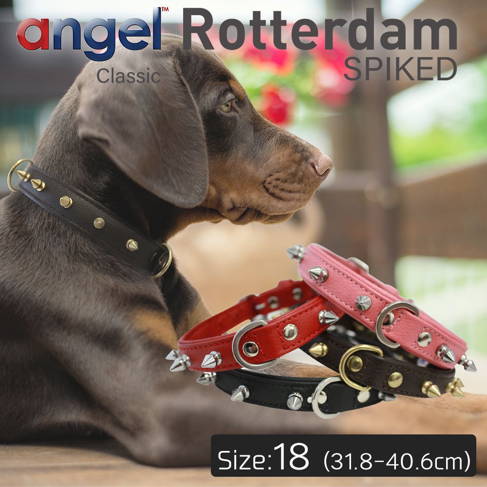 楽天市場 Angel アウトレット エンジェル Rotterdam Spiked 14インチ 犬 首輪 本革 柔らかい ソフトレザー 大型 中型 高級 おしゃれ かっこいい スパイク Baby West