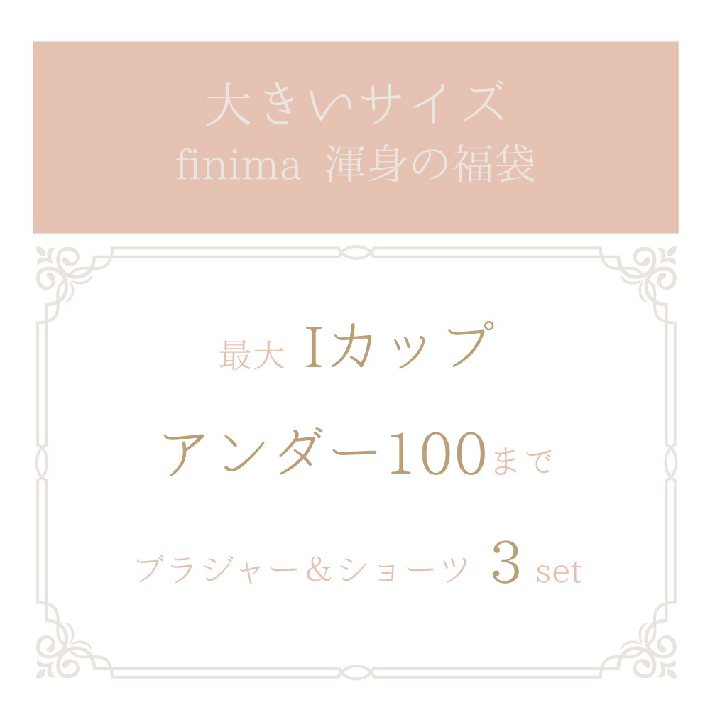 B85 I95まで 送料無料 沖縄は追加送料 福袋 大きいサイズ ブラジャー ショーツ セット 22 ブラセット 賜物 3組入り メール便不可 下着 ブラショーツ ブラ福袋 レディース