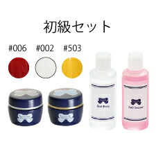 ★LEAFGEL PREMIUM（リーフジェル 割り増し金）  ジェル試験一揃いの道具 初級書き割り