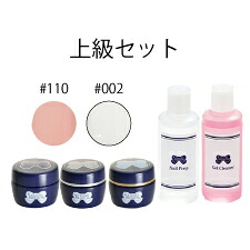 ★LEAFGEL PREMIUM（リーフジェル　プレミアム） ジェル検定キット　上級セット