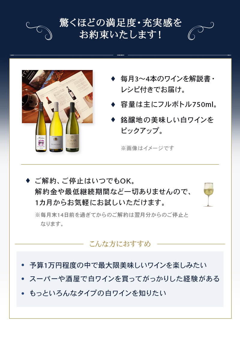 【頒布会】 ワイン セット 世界の本格ワインを毎月お届け！ 白ワイン 定期配送 10，000円コース 毎月3-4本セット 再再販