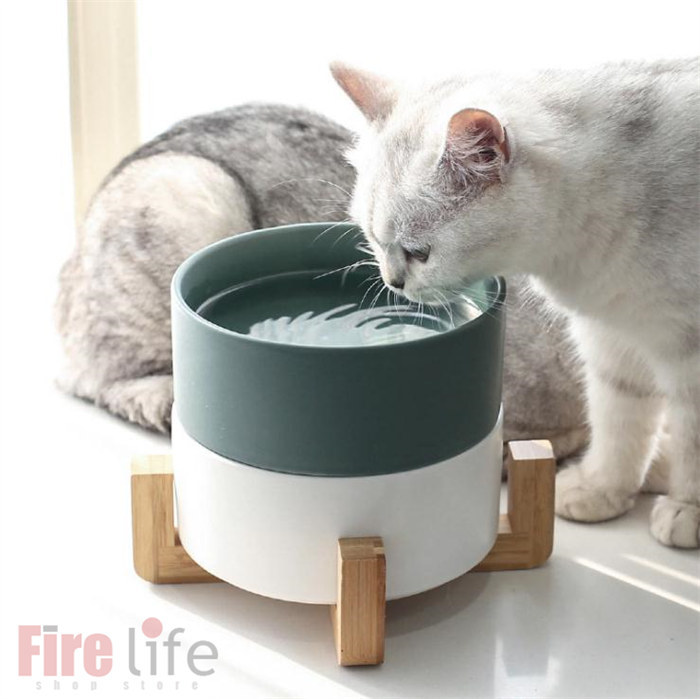 9周年記念イベントが 猫 えさ皿 食べやすい 食器 フードボウル 水飲み器 猫用品