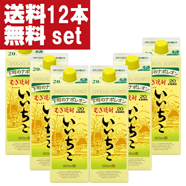 【送料無料!】 いいちこ 麦焼酎 20度 900mlパック(2ケース/12本入り)(北海道・沖縄は送料+990円)(★20度)|お酒の専門店ファースト
