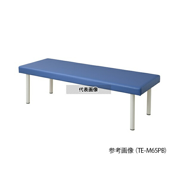 ナビス(アズワン) TE-M60PB カラフル診察台 600×1800×550mm ライトブルー
