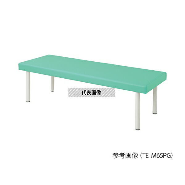 ナビス(アズワン) TE-M6019PG カラフル診察台 600×1900×550mm ライトグリーン 30,960円