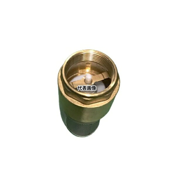 エスコ EA465LS-15 G1・1/2ストレーナー付逆止弁