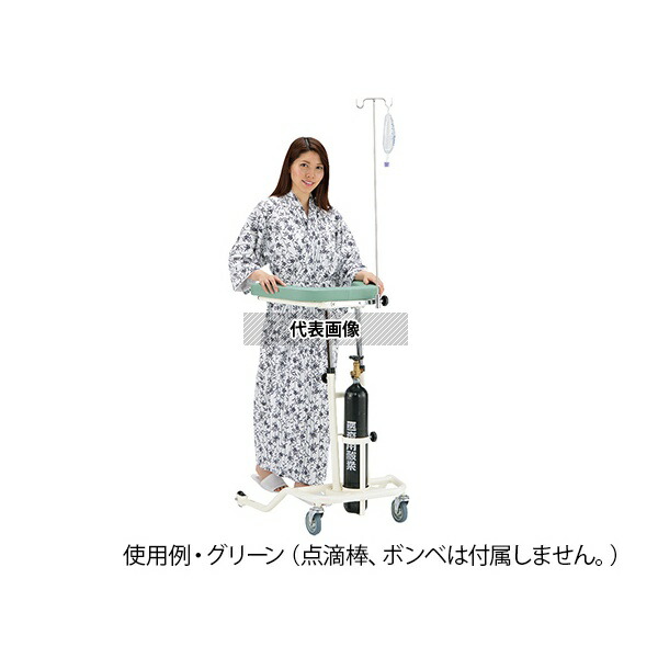 ナビス(アズワン) Rkun-LGP らくらくあるくん(R) 低床型(ボンベ架付) グリーン