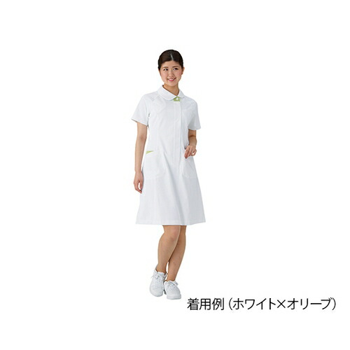 新品 アズワン ナースウェア ワンピース ホワイト オリーブ Ll 049 22 1枚 7 4659 04 安い Opk Rks Org