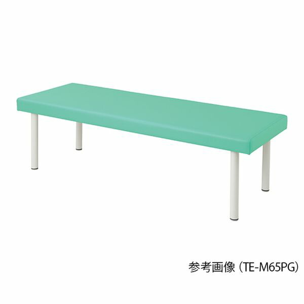 アズワン(AS ONE) カラフル診察台 650×1800×500mm ライトグリーン TE-L65PG