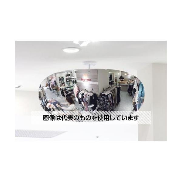 コミー 550x275mm 凸面ミラー(オーバル型860R･アクリル製) EA724ZK-31 入数：1個｜セミプロＤＩＹ店ファースト