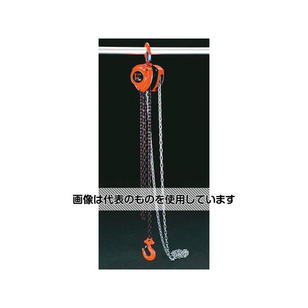アズワン(AS ONE) 1.0tonx2.5m チェーンブロック EA987AC-1 入数：1台｜セミプロＤＩＹ店ファースト