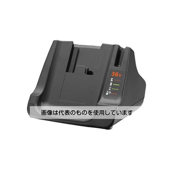 アズワン(AS ONE) 36.0V 充電器 EA813W-16 入数：1個
