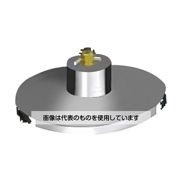 棚卸し資産たたき出す特集！