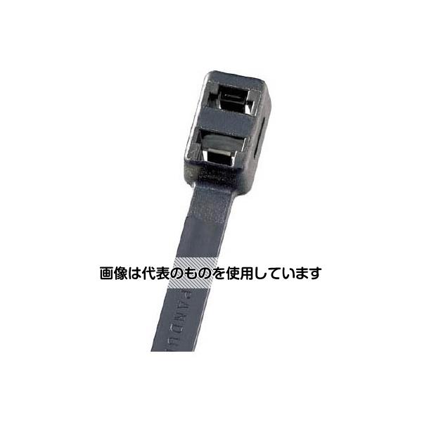 アズワン(AS ONE) ダブルループ結束バンド 耐熱性黒 4.8×376×1.3(1000本入) PLB4SM30 入数：1袋