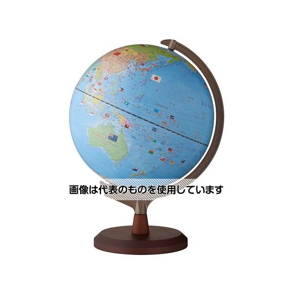 レイメイ藤井 国旗付地球儀 OYV328 入数：1個