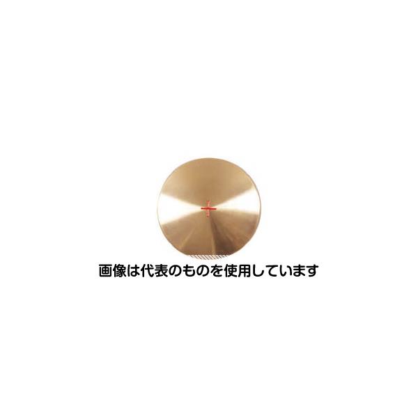 アズワン(AS ONE) 基準点鋲 5枚入 SB-80 入数：1箱(5枚入)