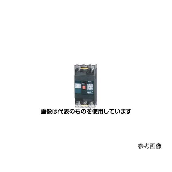 テンパール工業 配線用遮断器 B-103EC 75A 入数：1個