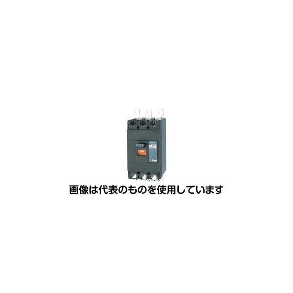 テンパール工業 配線用遮断器 B-403EA 300A 入数:1個|セミプロDIY店ファースト