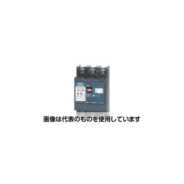 テンパール工業 配線用遮断器 B-63EC 60A 入数：1個