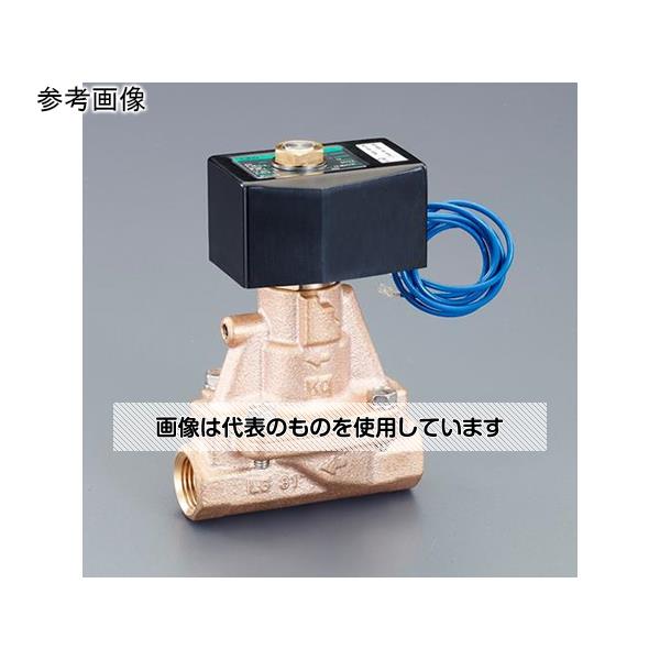 アズワン(AS ONE) AC100V･Rc1/2\