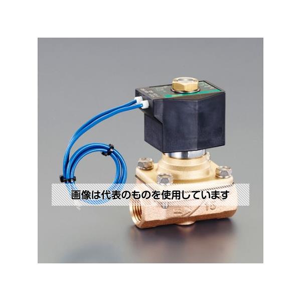 アズワン(AS ONE) AC200V･Rc1/2\