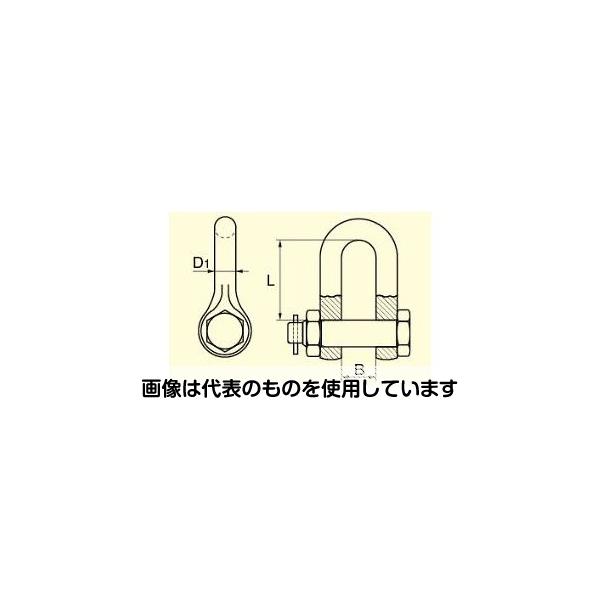 アズワン(AS ONE) 25.0ton 強力型シャックル EA638ND-14 入数：1個