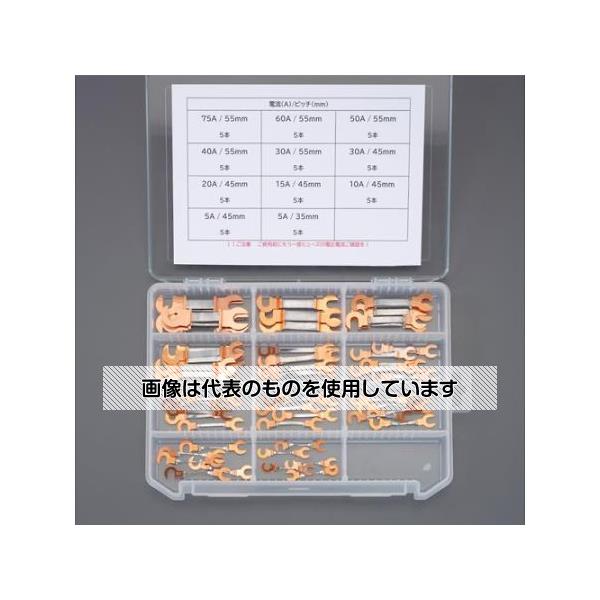 アズワン(AS ONE) 5A-75A 銅つめ付ヒューズセット EA758ZP-100 入数：1セット