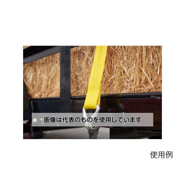 アズワン(AS ONE) 1500kg/50mmx12m 荷締機(ラチェット式/ロングハンドル EA982BC-22 入数：1組
