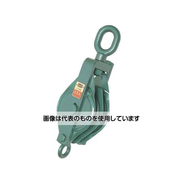 アズワン(AS ONE) 125mm 強力型滑車(2車・オーフ) EA987HH-125B 入数：1個