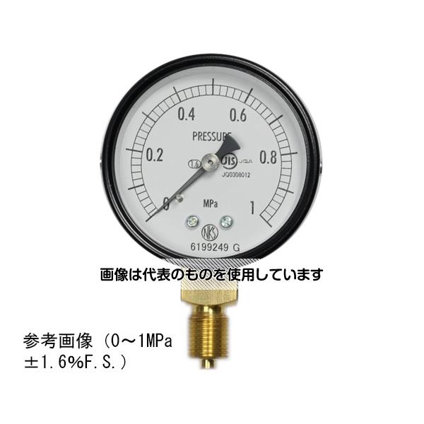 長野計器 普通形圧力計(Φ60) 立形A枠 25MPa AA10-121 入数：1個