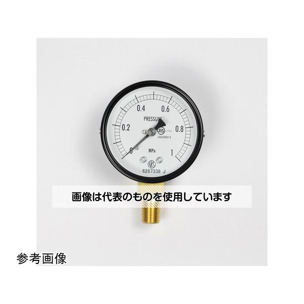長野計器 普通形圧力計(Φ60) 立形A枠 25MPa AA10-171 入数：1個