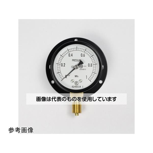 長野計器 普通形圧力計(Φ60) 立形B枠 25MPa AA10-221 入数：1個
