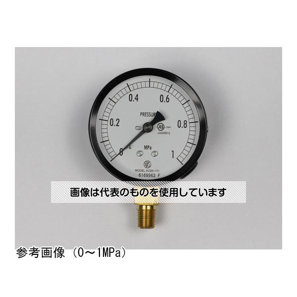 長野計器 普通形圧力計(Φ75) 立形A枠 6MPa AC20-171 入数：1個