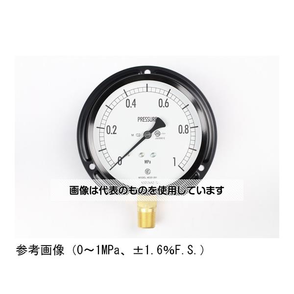 長野計器 普通形圧力計(Φ100) 立形B枠 蒸気用 0.6MPa AE20-281 入数：1個