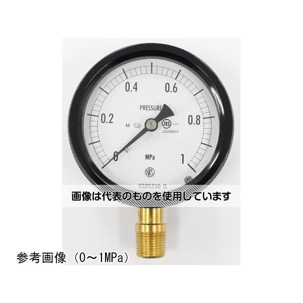 長野計器 密閉型圧力計(75Φ) 立形A枠 蒸気用 0.6MPa BC12-181 入数：1個