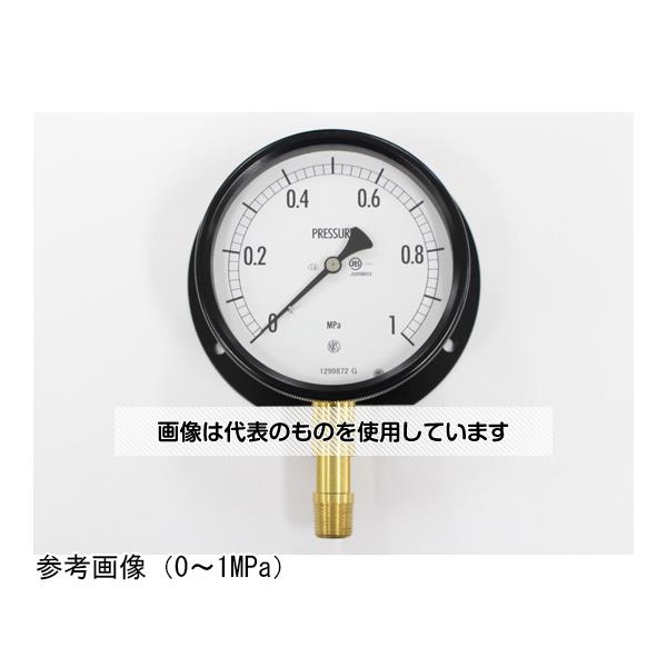長野計器 密閉型圧力計(100Φ) 立形B枠 -0.1～0.25MPa BE10-281 入数：1個