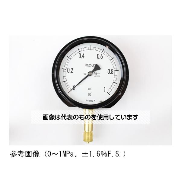 アズワン(AS ONE) 密閉型圧力計(100Φ) 立形B枠 2MPa BE12-231 入数：1個