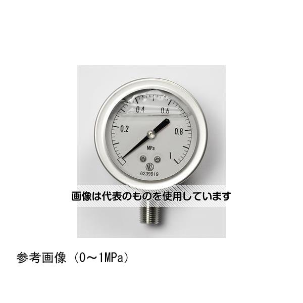 長野計器 グリセリン入圧力計(60Φ) 70MPa GV50-173 入数：1個
