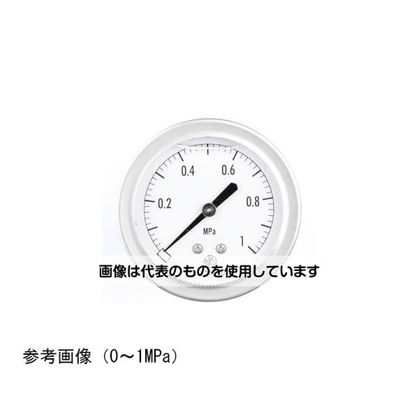 長野計器 グリセリン入圧力計(60Φ) -0.1～0.6MPa GV55-123 入数：1個