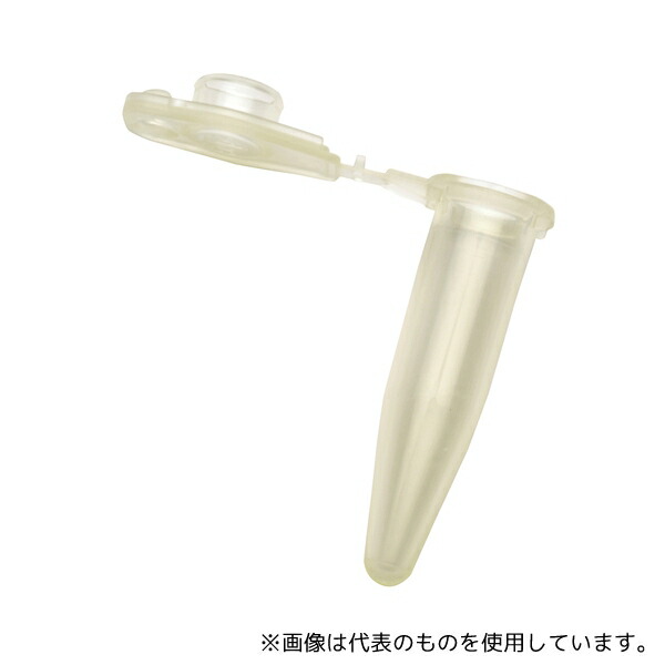 店卸し資産追いはらう特集！
