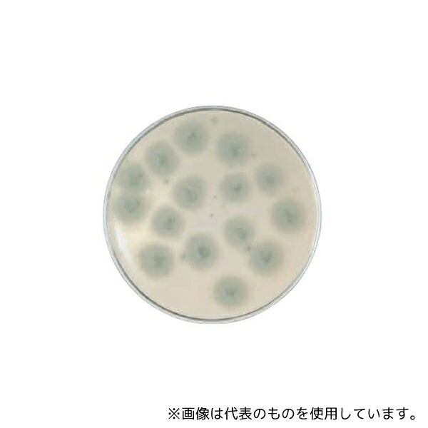 ベクトン・ディッキンソン 252586 BD BBL(TM) サブローデキストロースLP寒天培地 RT 1個(1本×100枚入)