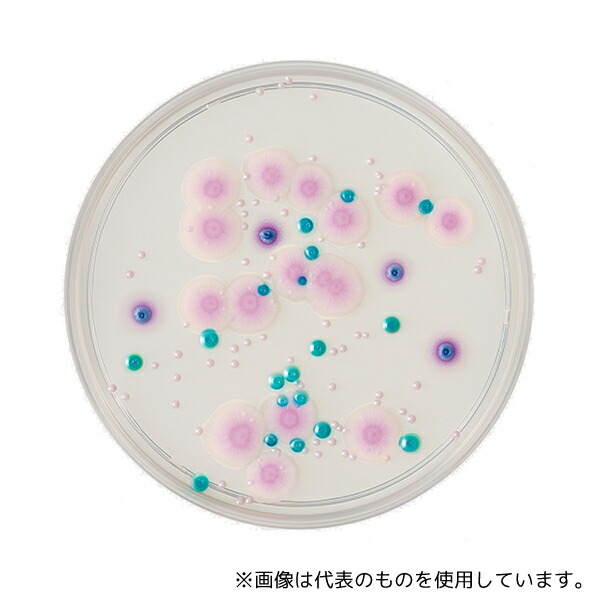 ベクトン・ディッキンソン 252958 BD BBL(TM) CHROMagar(TM) カンジダII寒天培地 20枚