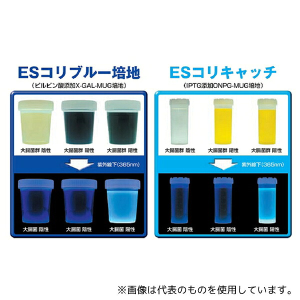 栄研化学 E-KW08 ESコリブルー培地100ボトル 6本×10袋