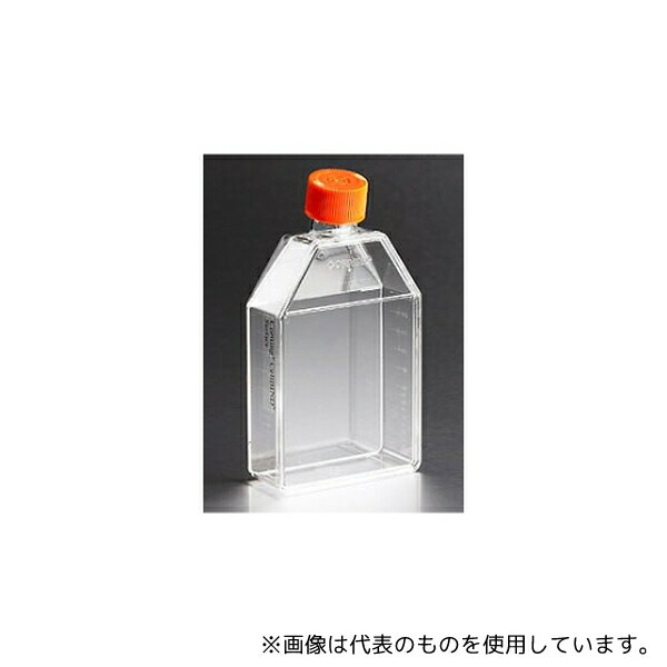 意気組み症から守る冷房装置お召しもの