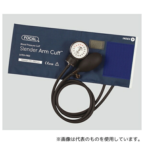 ガーデニング特集 芝刈り機が今一般受けです 医薬品・コンタクト・介護-身体測定器・医療計測器-その他