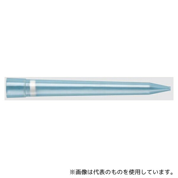 店卸し資産追いはらう特集！