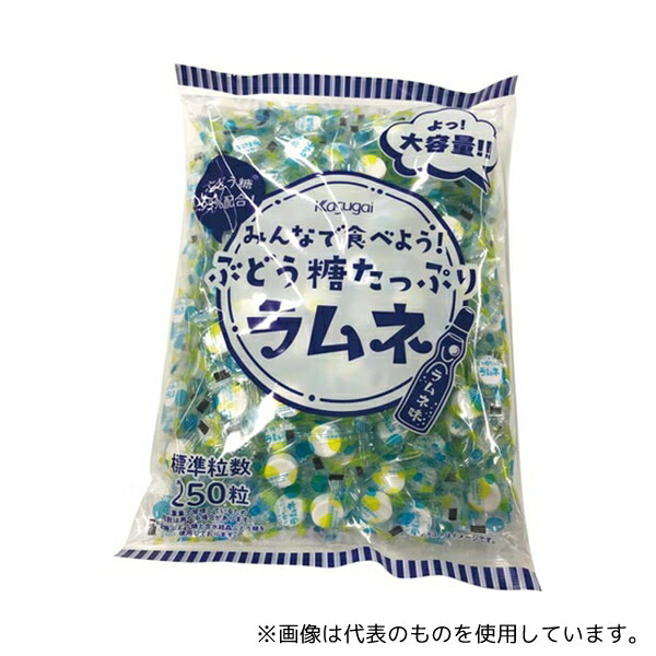 新品未開封　ノビルン　ラムネ味×2袋 高光製薬オンラインショップ｜ショッピングカート