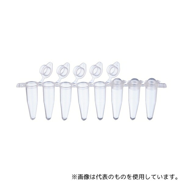 WATSON 137-232C 0.2mL PCR8連チューブ ドームキャップ付 1箱(120ストリップ入)